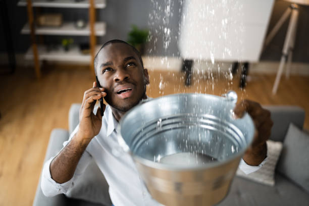 Best Ceiling water damage repair  in Copperton, UT