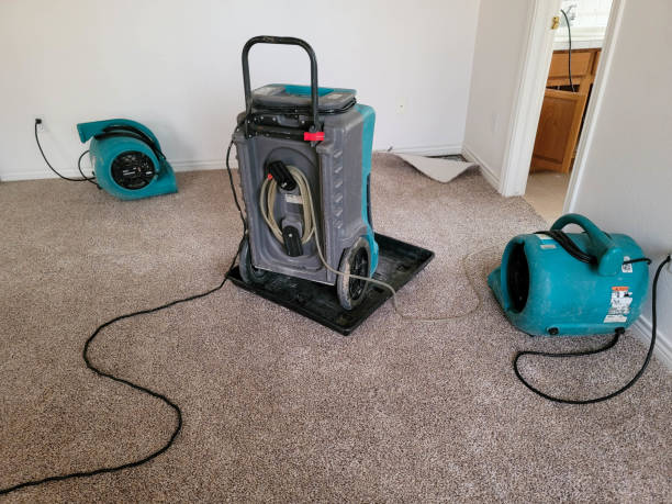 Best Flood damage cleanup  in Copperton, UT