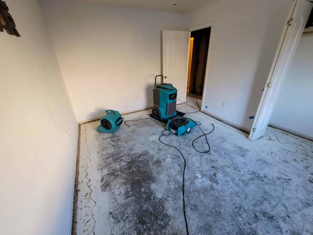 Best 24/7 water damage repair  in Copperton, UT