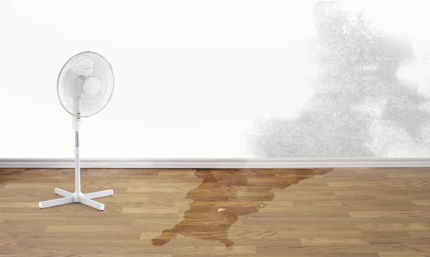 Best Sewage cleanup and water damage restoration  in Copperton, UT