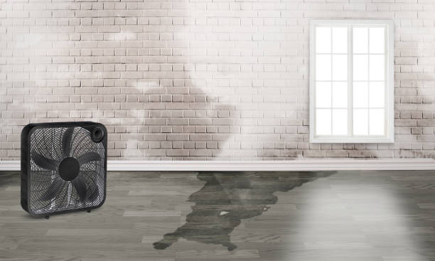 Water damage restoration insurance claims in Copperton, UT