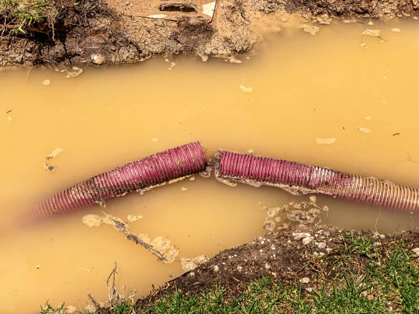 Best Residential water damage restoration  in Copperton, UT