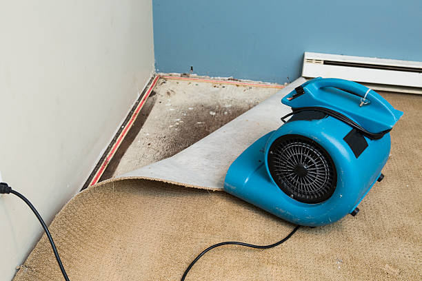 Best Commercial water damage restoration  in Copperton, UT